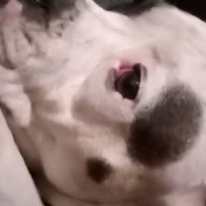 Meet your Posher, Keith